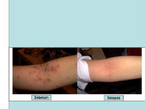 slide4.jpg